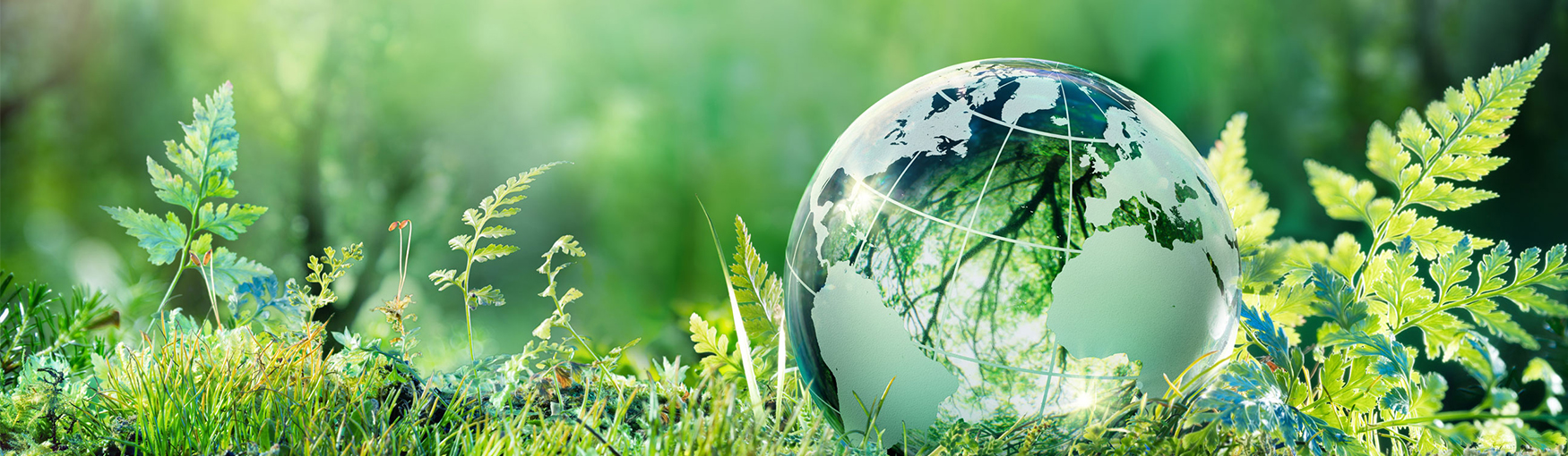 Sustainability